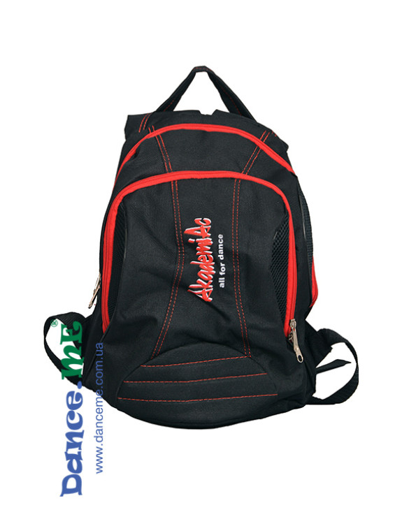 Academic Рюкзак 133
